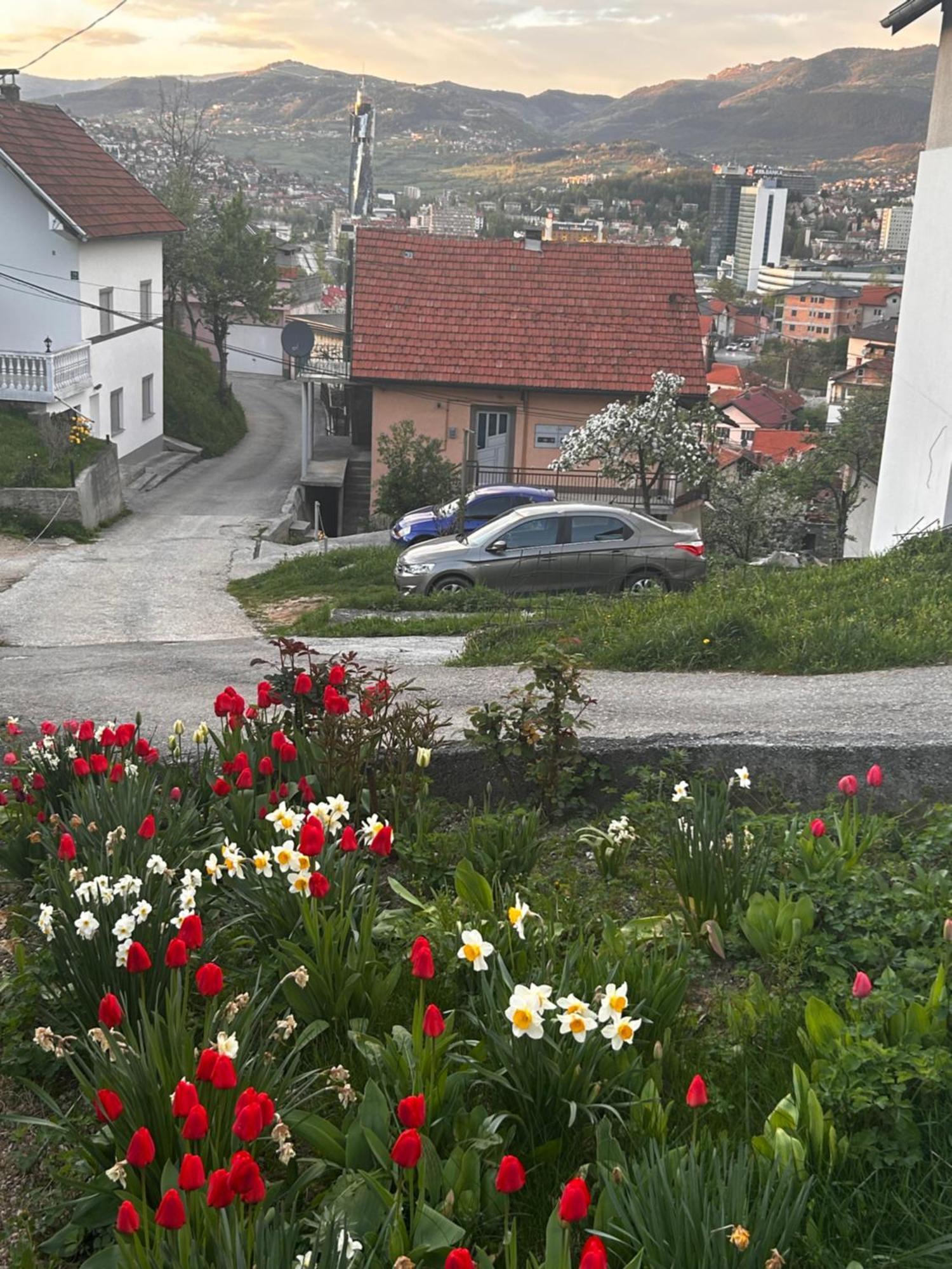 Close To Scc Luxury In Počitniška hiša *