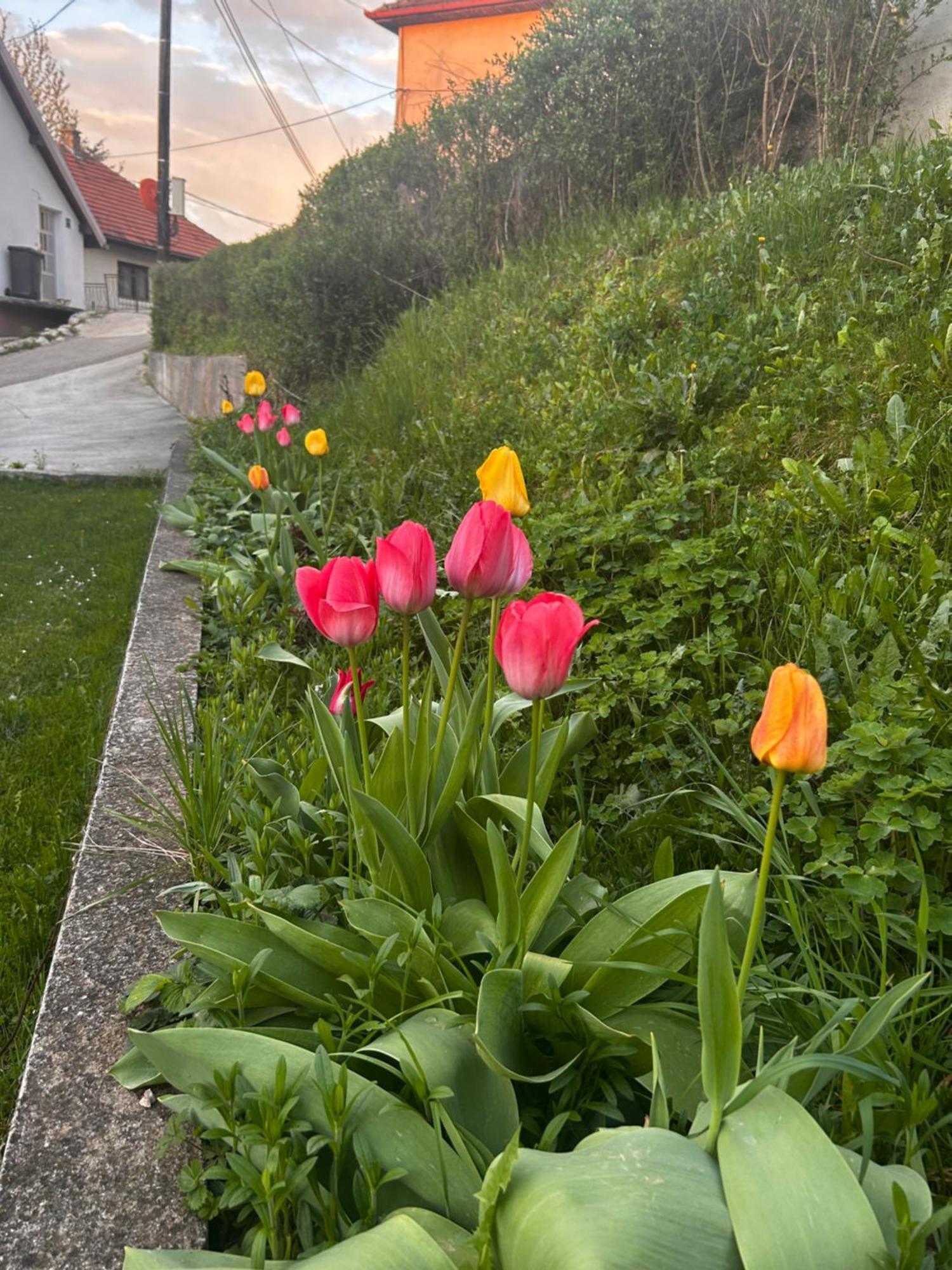 Close To Scc Luxury In Počitniška hiša Sarajevo